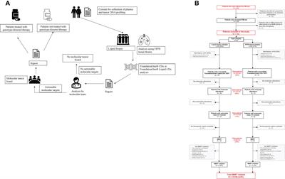 Clinical management of molecular alterations identified by high throughput sequencing in patients with advanced solid tumors in treatment failure: Real-world data from a French hospital